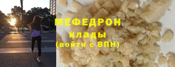прущие грибы Магас