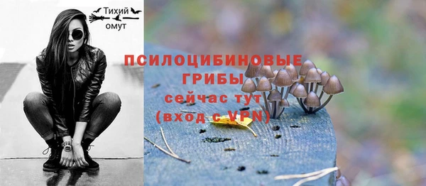 прущие грибы Магас