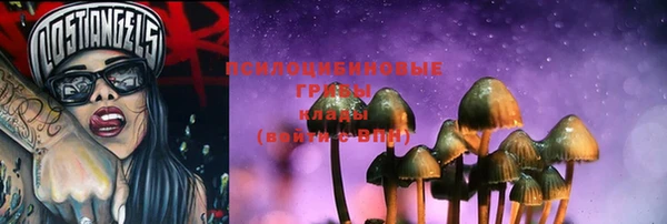 прущие грибы Магас