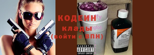 прущие грибы Магас