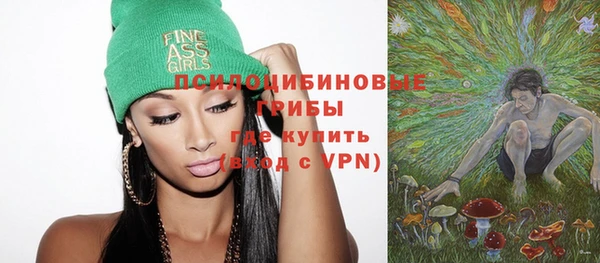 прущие грибы Магас