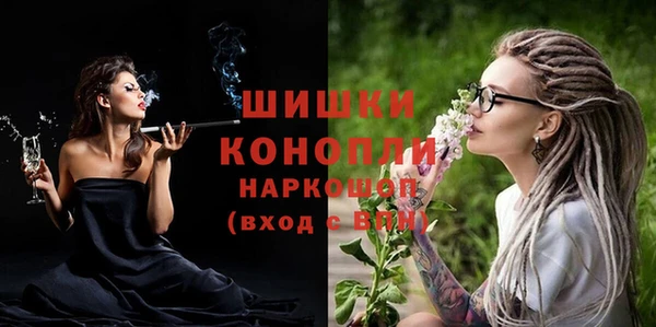 прущие грибы Магас