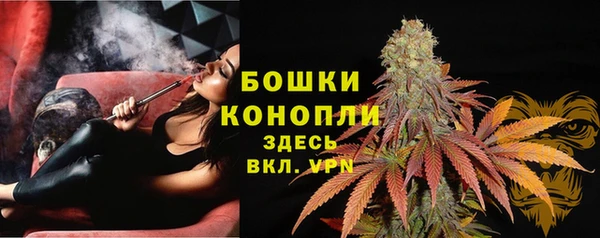 прущие грибы Магас